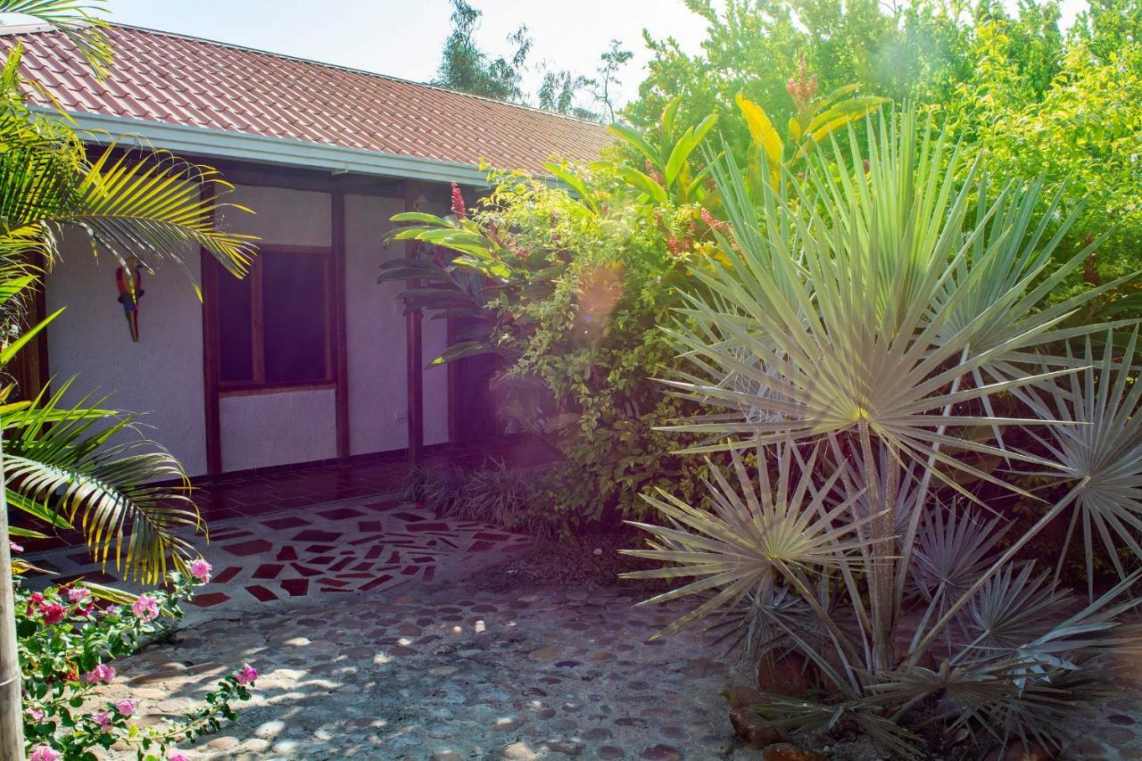 Hostal El Ruby วิลญาเวียคา ภายนอก รูปภาพ